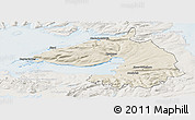 Shaded Relief Panoramic Map of Dala, lighten