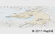 Shaded Relief Panoramic Map of Dala, lighten, semi-desaturated