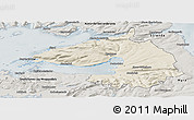 Shaded Relief Panoramic Map of Dala, semi-desaturated
