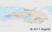 Shaded Relief Panoramic Map of Dala, single color outside