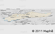 Shaded Relief Panoramic Map of Myra, desaturated