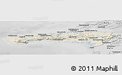 Shaded Relief Panoramic Map of Snafellsnes- og Hnappadals, desaturated