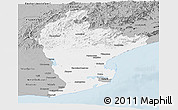 Gray Panoramic Map of East Godavari