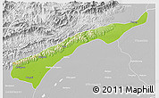 Physical 3D Map of Dhemaji, lighten, desaturated