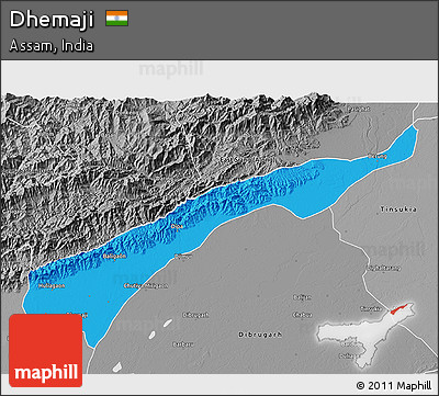 Political 3D Map of Dhemaji, desaturated
