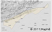 Shaded Relief 3D Map of Dhemaji, desaturated
