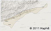 Shaded Relief 3D Map of Dhemaji, lighten