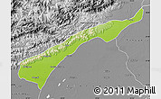 Physical Map of Dhemaji, desaturated