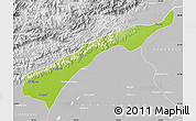 Physical Map of Dhemaji, lighten, desaturated