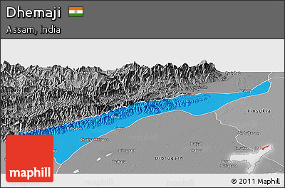 Political Panoramic Map of Dhemaji, desaturated