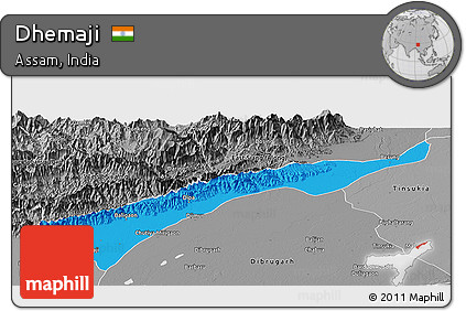 Political Panoramic Map of Dhemaji, desaturated