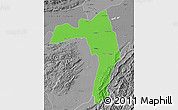 Political Map of Golaghat, desaturated