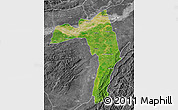 Satellite Map of Golaghat, desaturated
