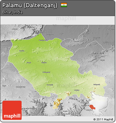 Physical 3D Map of Palamu (Daltenganj), desaturated