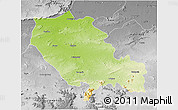 Physical 3D Map of Palamu (Daltenganj), desaturated