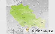 Physical 3D Map of Palamu (Daltenganj), lighten, desaturated