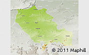 Physical 3D Map of Palamu (Daltenganj), lighten, semi-desaturated