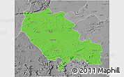 Political 3D Map of Palamu (Daltenganj), desaturated