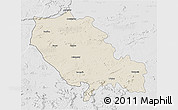 Shaded Relief 3D Map of Palamu (Daltenganj), lighten, desaturated