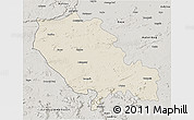 Shaded Relief 3D Map of Palamu (Daltenganj), semi-desaturated