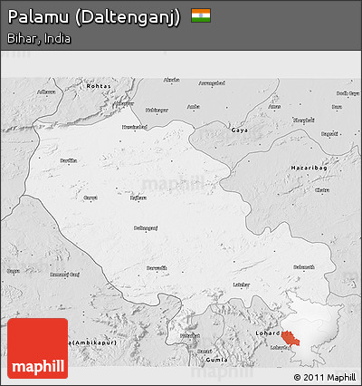 Silver Style 3D Map of Palamu (Daltenganj)