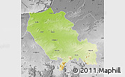 Physical Map of Palamu (Daltenganj), desaturated