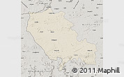 Shaded Relief Map of Palamu (Daltenganj), semi-desaturated