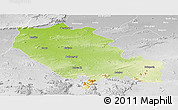 Physical Panoramic Map of Palamu (Daltenganj), lighten, desaturated