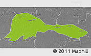 Physical 3D Map of Patna, desaturated