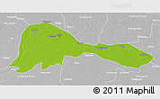 Physical 3D Map of Patna, lighten, desaturated
