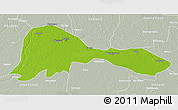 Physical 3D Map of Patna, lighten, semi-desaturated