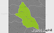 Physical Map of Saran, desaturated