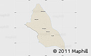 Shaded Relief Map of Saran, single color outside