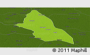 Physical Panoramic Map of Saran, darken