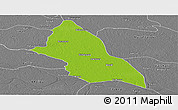 Physical Panoramic Map of Saran, desaturated