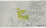 Satellite 3D Map of Dadra and Nagar Haveli, lighten, semi-desaturated