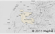 Shaded Relief 3D Map of Dadra and Nagar Haveli, desaturated