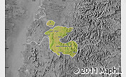 Satellite Map of Dadra and Nagar Haveli, desaturated