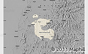 Shaded Relief Map of Dadra and Nagar Haveli, darken, desaturated