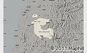 Shaded Relief Map of Dadra and Nagar Haveli, darken, semi-desaturated
