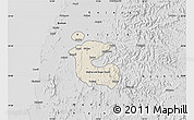 Shaded Relief Map of Dadra and Nagar Haveli, desaturated
