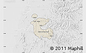 Shaded Relief Map of Dadra and Nagar Haveli, lighten, desaturated
