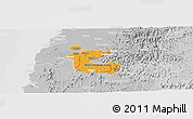 Political Shades Panoramic Map of Dadra and Nagar Haveli, lighten, desaturated