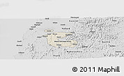 Shaded Relief Panoramic Map of Dadra and Nagar Haveli, desaturated