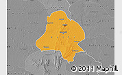 Political Map of Delhi, desaturated