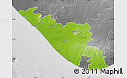 Physical Map of Junagadh, desaturated