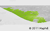 Physical Panoramic Map of Junagadh, lighten, desaturated