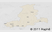 Shaded Relief Panoramic Map of Rajkot, lighten, desaturated