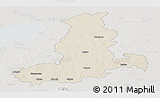 Shaded Relief Panoramic Map of Rajkot, lighten, semi-desaturated