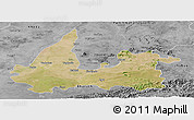 Satellite Panoramic Map of Vadodara, desaturated
